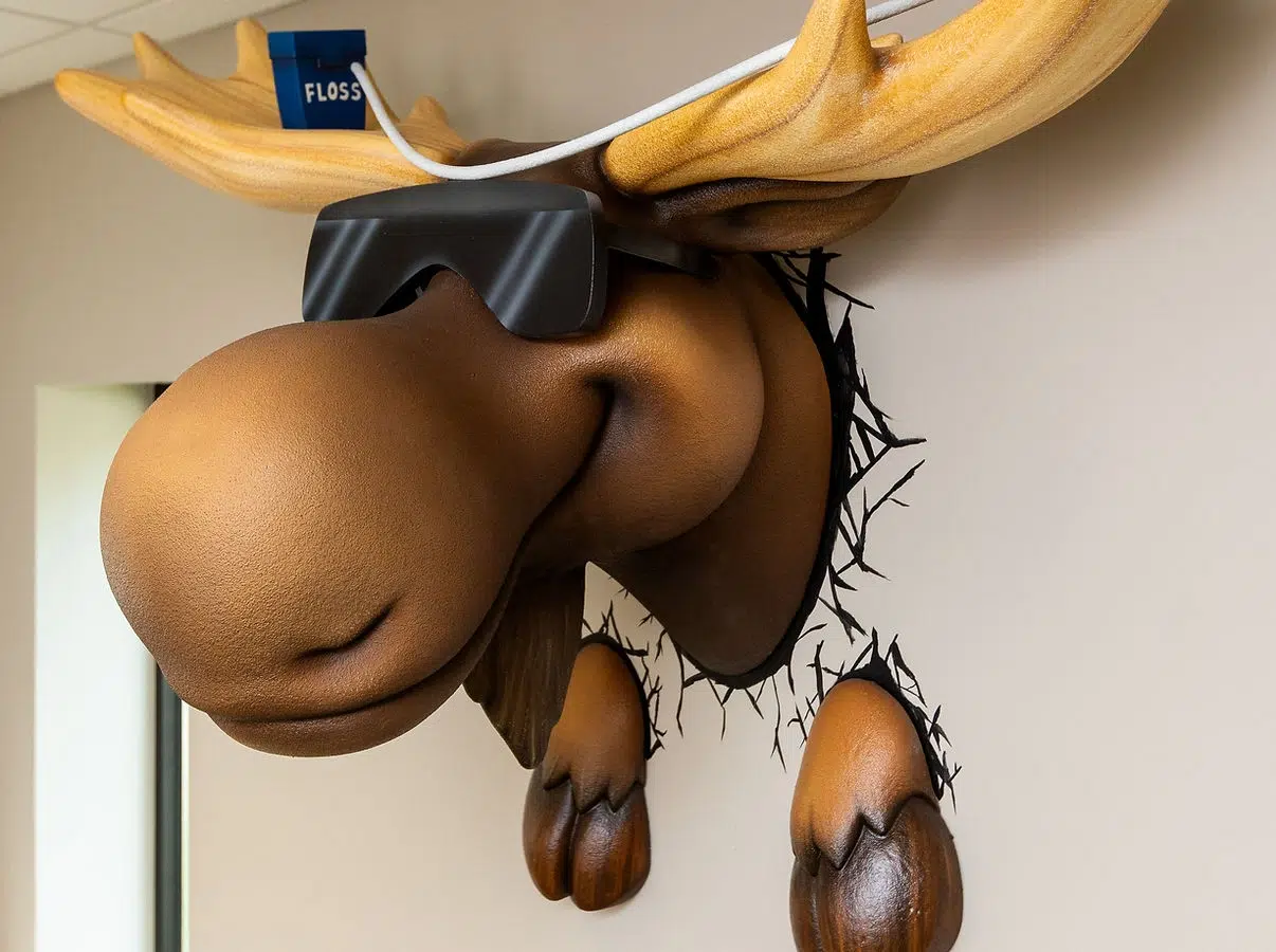 Best Pediatric Dentist in Saratoga and Rensselaer County, NY - The Smile Lodge