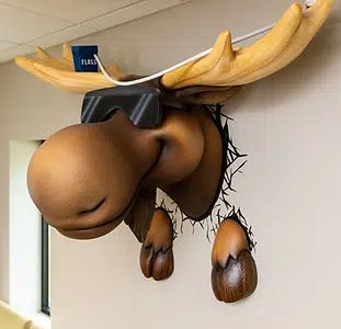 Best Pediatric Dentist in Saratoga and Rensselaer County, NY - The Smile Lodge