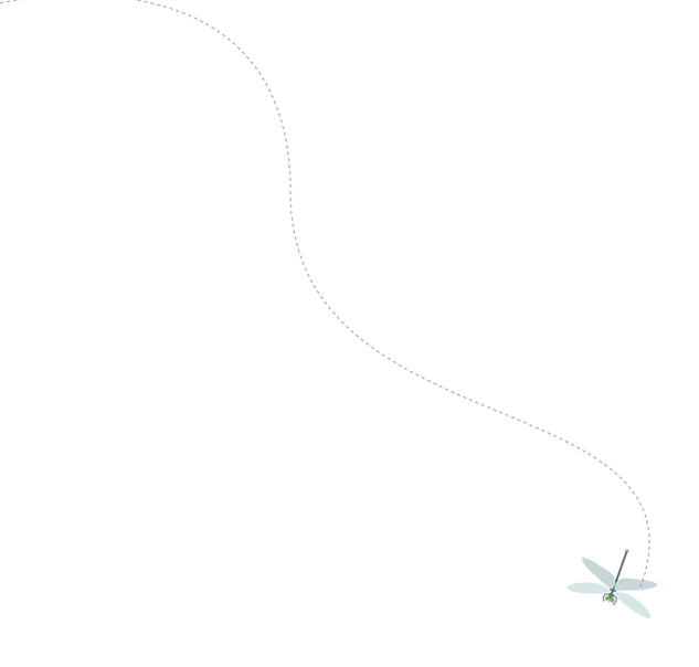 Curved path leading to a small airplane icon in a minimalist landscape setting.