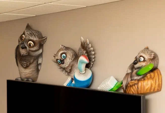 Best Pediatric Dentist in Saratoga and Rensselaer County, NY - The Smile Lodge