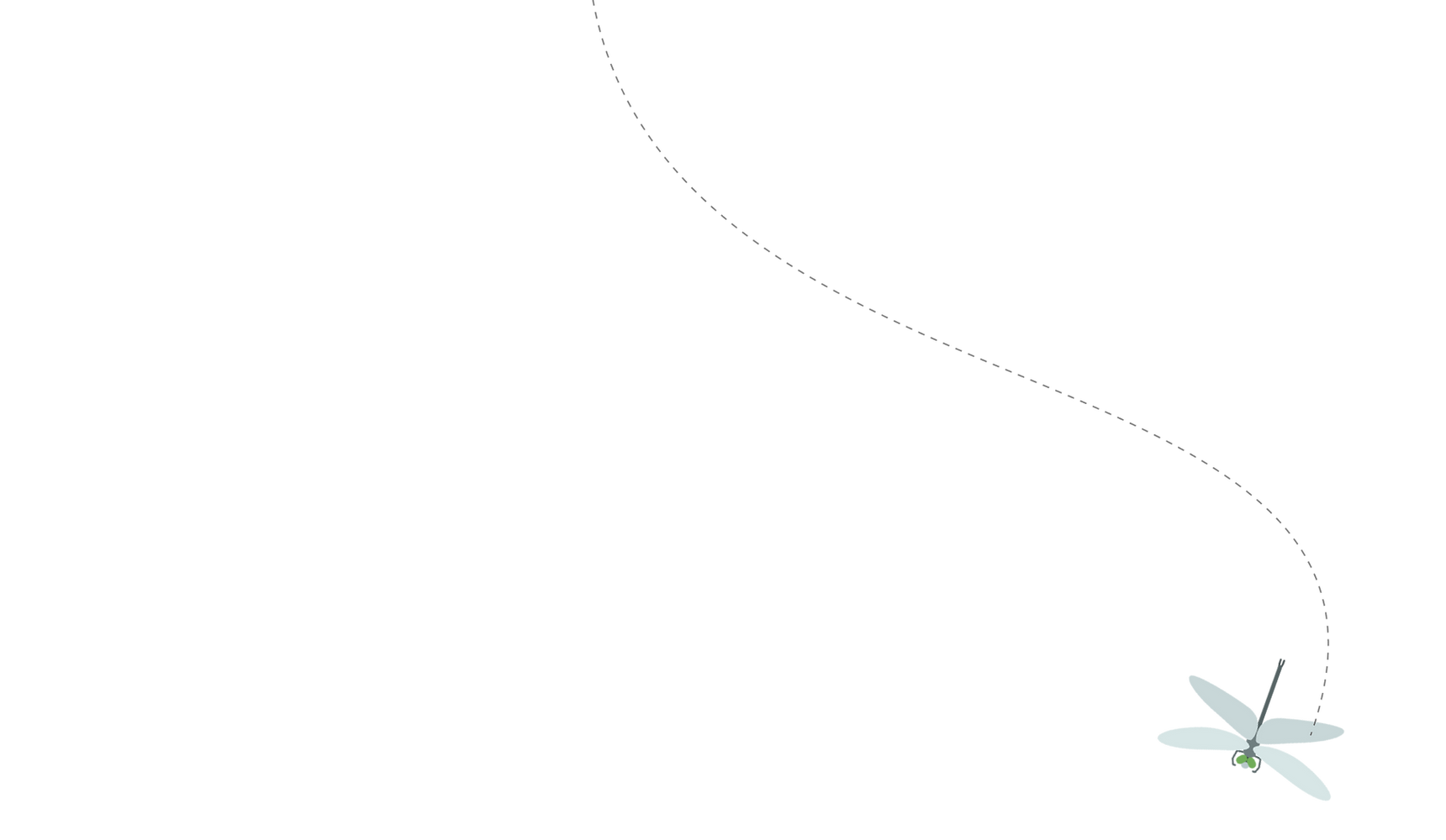 Fishing line with hook against white background, minimal design element for Smile Lodge website.