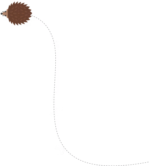 Brown spiky ball following curved dotted path downward in minimalist illustration.
